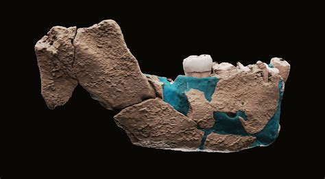 neanderthal remains in levant.